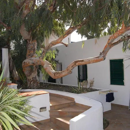 Conti Vulcano (Isola)
